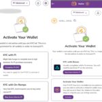 Aktifkan WALLET MAINNET PI NETWORK