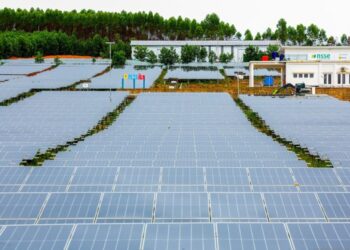 Singapura Dukung Pengembangan Energi Hijau di Ibu Kota Nusantara