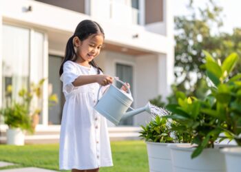 Jangan Asal Siram! Ini Waktu Terbaik Menyiram Tanaman Hias di Pekarangan agar Tetap Segar dan Tidak Mati