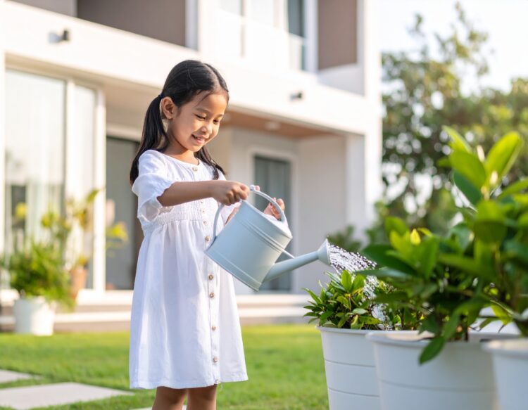 Jangan Asal Siram! Ini Waktu Terbaik Menyiram Tanaman Hias di Pekarangan agar Tetap Segar dan Tidak Mati