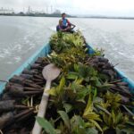 Pertamina Patra Niaga