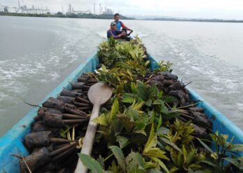 Pertamina Patra Niaga