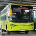 Mengenal PO Maju Terus Asal Kalimantan, Memiliki Bus Suite Class Ala Bisnis Pesawat