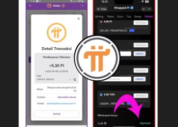 Bukti $WPI Jadi Pi Coin asli di Pi Wallet