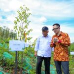 President University di IKN