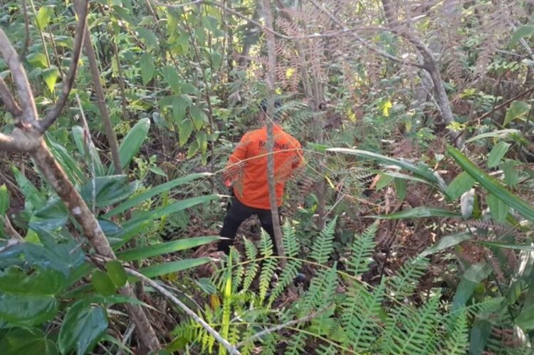 Tim SAR Gabungan Cari Warga Hilang di Hutan Kawasan IKN