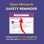 Lindungi Saldo Wallet Pi
