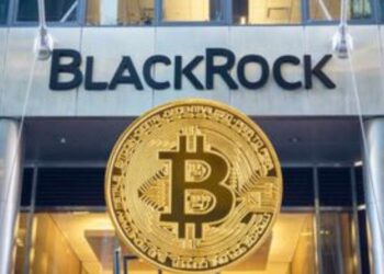Tak Hanya Bitcoin dan Ethereum, BlackRock Kini Lirik ETF untuk Altcoin Populer