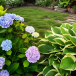 Tanaman Hias Daun Lebar