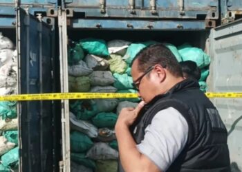 tambang batubara ilegal di IKN