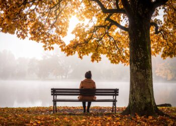 Mengenal Digital Minimalism: Jalani Hidup yang Tenang Tanpa Banyak Notifikasi Aplikasi