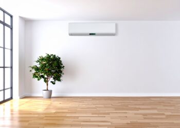 Ini 6 Jenis Tanaman Hias Indoor yang Cocok untuk Ruangan AC, Biar Nggak Kaku dan Tetap Segar