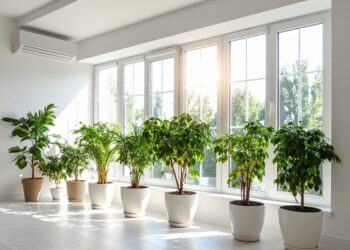 Ini 7 Jenis Tanaman Hias yang Tidak Bisa Tumbuh di Ruangan AC
