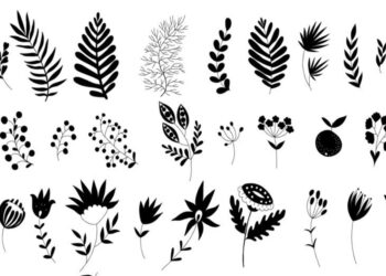 Pemkab Kukar Komitmen Lindungi 725 Spesies Flora Fauna di Kabupaten Penyangga IKN