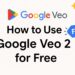 Google VEO 2 Ubah Foto Jadi Video Hanya 6 Detik