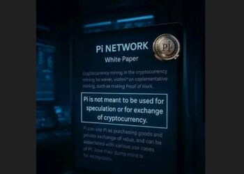 Halaman 12 Buku Putih Pi Network