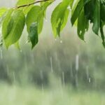 Prakiraan Cuaca 9 Juli 2025 di Kalimantan Timur