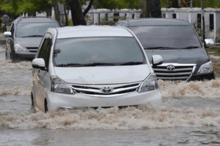 Mobil Bekas Banjir Bermunculan, Begini Cara Aman Beli Unit Second Biar Nggak Ketipu