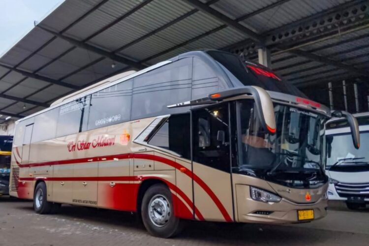 Melihat PO Tri Star Melawi, Bus Kekinian di Kalimantan dengan Fasilitas Mewah