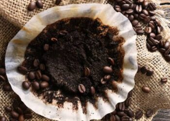 Manfaat Ampas Kopi untuk Rumah Tangga: Simpel, Alami, dan Efektif