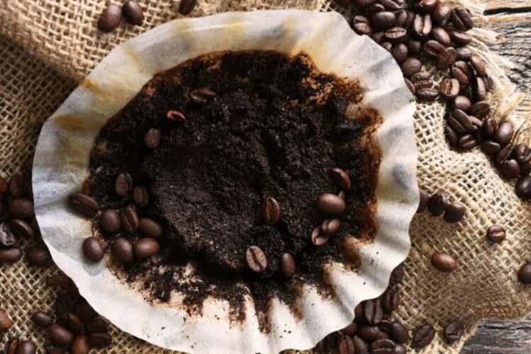 Manfaat Ampas Kopi untuk Rumah Tangga: Simpel, Alami, dan Efektif