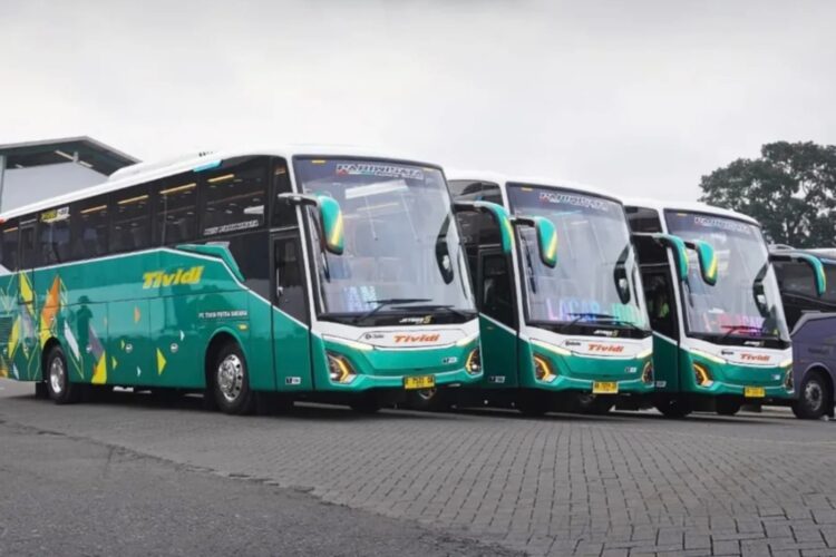 Tividi Rilis Jetbus 5, Bus Kekinian dengan Bodi JetBus 5 Buatan Karoseri Adiputro