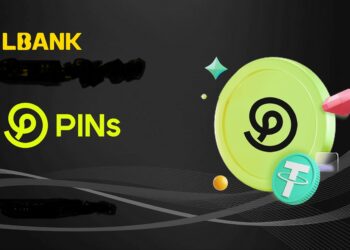 PINs Network Metaverse