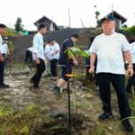 Pak Bas Soroti pola penanaman pohon di wilayah IKN.