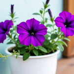 Tanaman bunga di pot