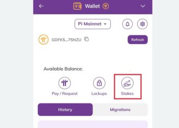 tombol Stakes Pi Wallet