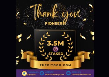 Pi toGo Pi Network