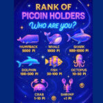 Klasifikasi Pemilik Pi Coin