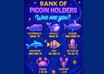 Klasifikasi Pemilik Pi Coin
