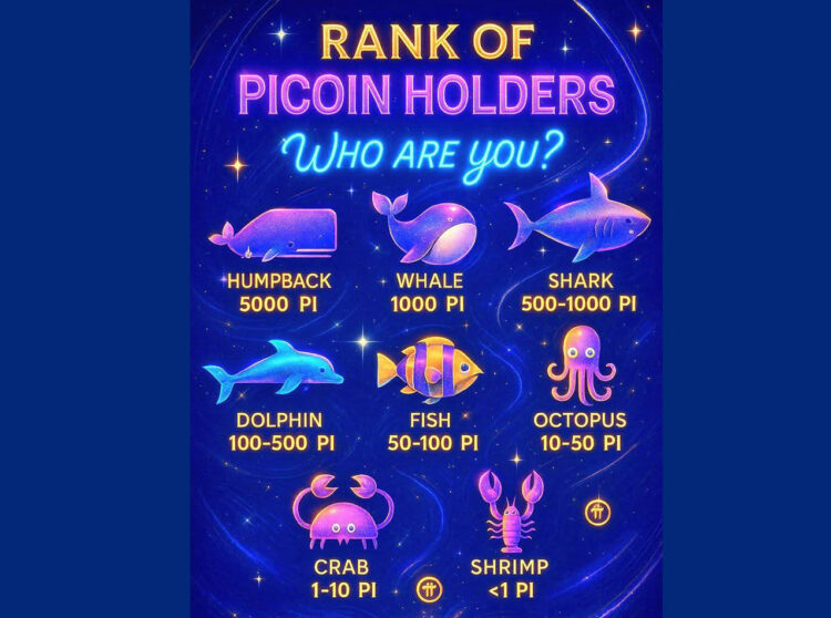 Klasifikasi Pemilik Pi Coin