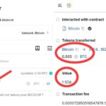SIDRA COIN Sukses TRANSFER ke Mainnet BITCOIN