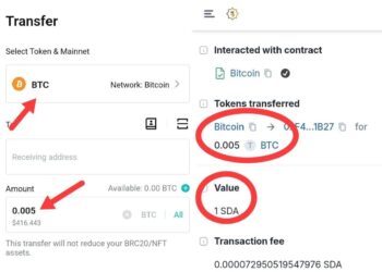 SIDRA COIN Sukses TRANSFER ke Mainnet BITCOIN