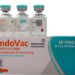 Vaksin IndoVac Bio Farma