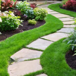 Tanaman Hias Aesthetic