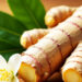 jenis tanaman obat