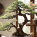 tanaman hias bonsai