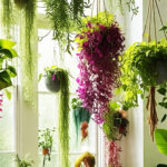 Tanaman Hias Gantung