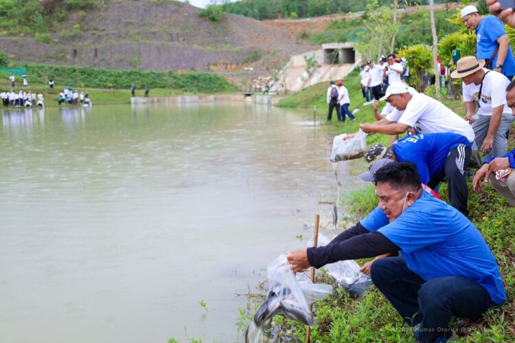 Alumni Perguruan Tinggi Kaltim Tebar Satu Ton Benih Ikan Lele di Embung MBH IKN