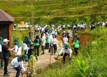 Dukung Program Forest City, Delegasi CUPT–CRISU Tanam Pohon Endemik di Taman Kusuma Bangsa IKN