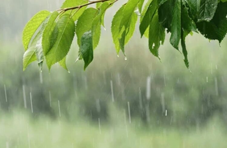 Cuaca Kaltim Jumat 15 Agustus 2025