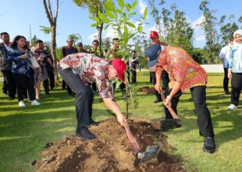 Dukung Konsep Kota Hijau Berkelanjutan, Menteri Karding Tanam Pohon di IKN