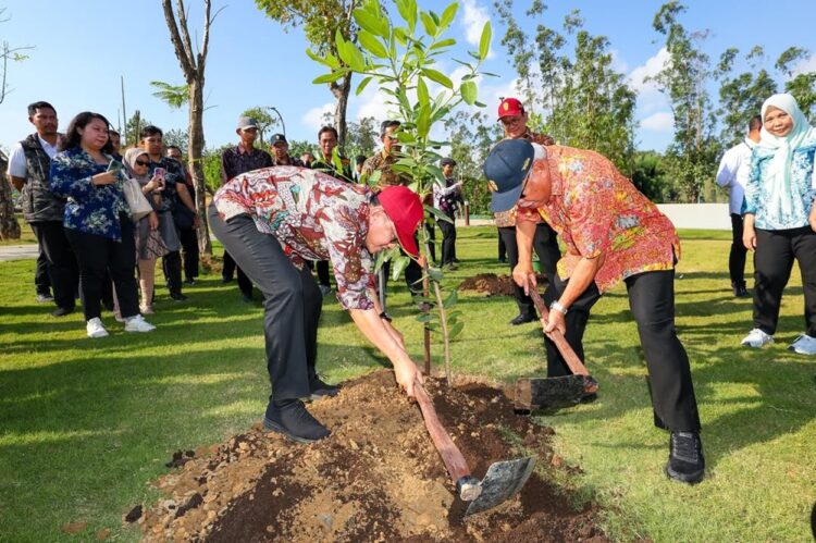 Dukung Konsep Kota Hijau Berkelanjutan, Menteri Karding Tanam Pohon di IKN