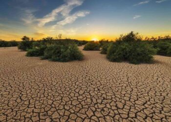 BMKG Kaltim: Waspadai Kekeringan di Provinsi Penyangga IKN hingga Oktober