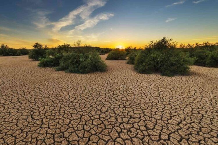 BMKG Kaltim: Waspadai Kekeringan di Provinsi Penyangga IKN hingga Oktober