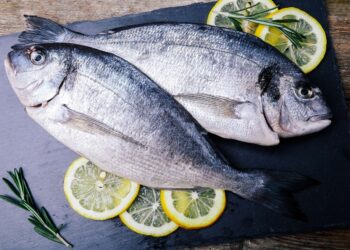 Angka Konsumsi Ikan di Provinsi Penyangga IKN Naik Jadi 59,75 Kg per Kapita