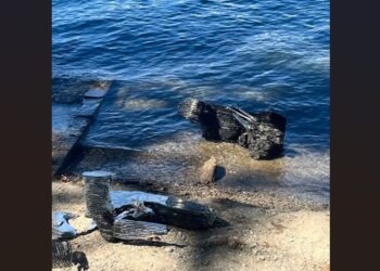 PATUNG SATOSHI NAKAMOTO Dicabut & Dibuang ke Danau, Komunitas Bitcoin MURKA